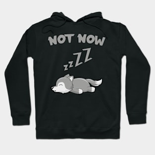 Lazy Wolf Not Now Funny Wolves Sleep Hoodie